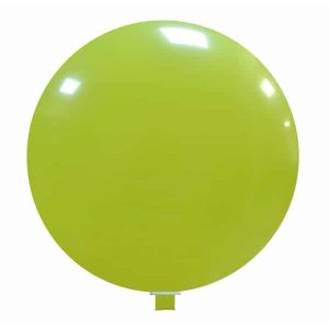 Palloncini giganti personalizzati cedro