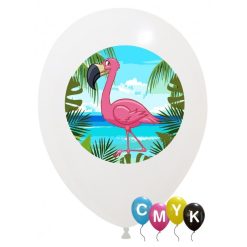 Palloncini varie - flamingo - full color (cmyk)