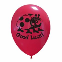 Palloncini scolastico - good luck