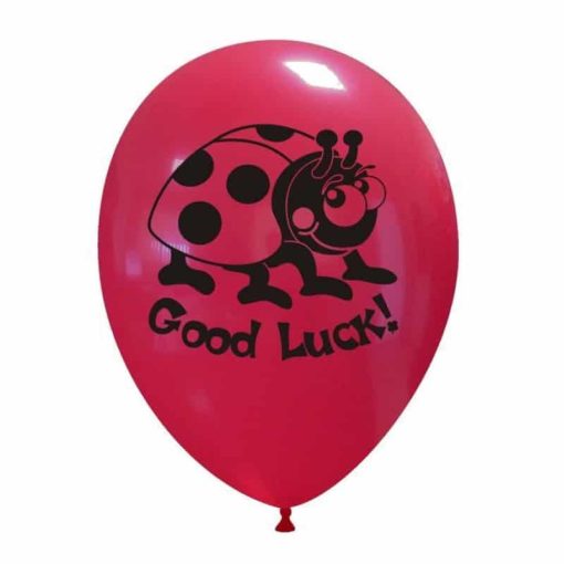 Palloncini scolastico good luck