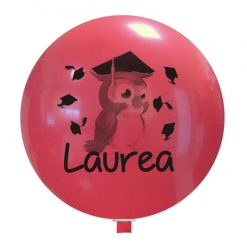 Palloncini scolastico - laurea gufetto 2