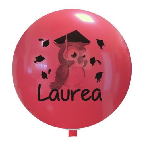 Palloncini scolastico laurea gufetto 2