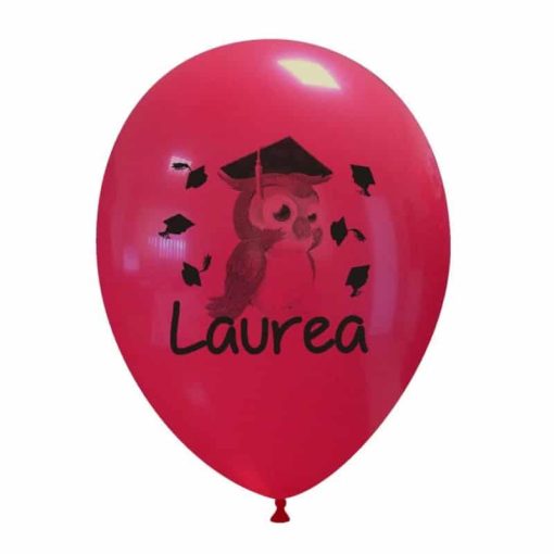 Palloncini scolastico laurea gufetto