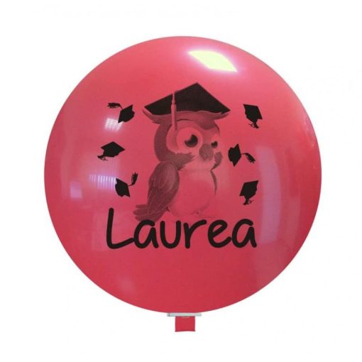 Palloncini scolastico laurea gufetto