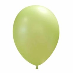 Palloncini lisci 10