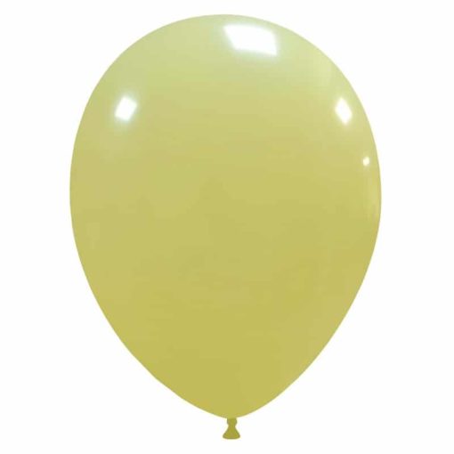 Palloncini lisci 10 Standard