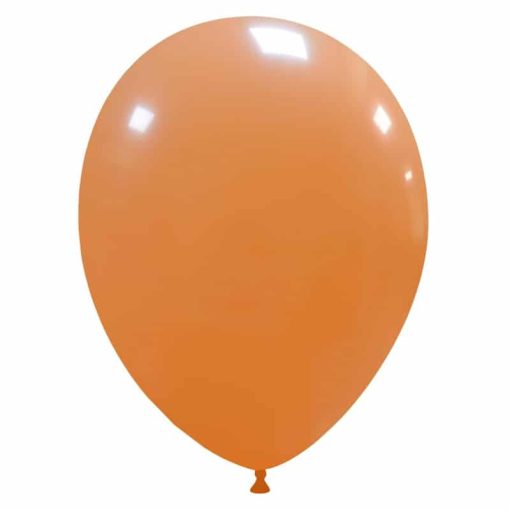 Palloncini lisci 13 Standard