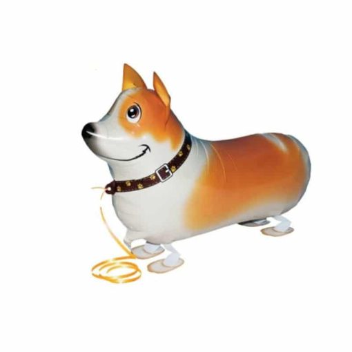 Palloncini Pet Walker Corgi 21